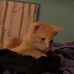 Profile Picture of Bobbie Stamper (@bobbie.stamper.9) on Facebook