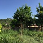 Profile Picture of Kim Barrett (@_back_a_yard_) on Instagram