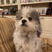 Profile Picture of Harrison Chandler (@harrison-chandler-4) on Quora