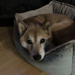 Profile Picture of Andrew Koteles (@andrew.koteles) on Facebook