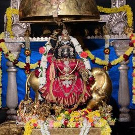 Profile Picture of Shivu Padubidri (@PadubidriShivu) on Twitter
