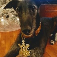 Profile Picture of Adam Lundgren (@adamlundgren) on Twitter