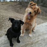 Profile Picture of Gisela Leymann (@jette_und_bella_on_tour) on Instagram