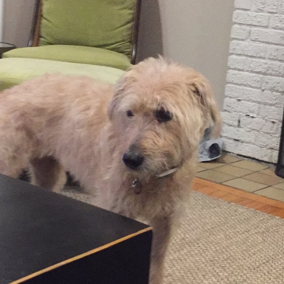 Profile Picture of Glenn Turner (@tampaturner) on Poshmark