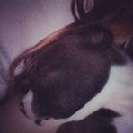 Profile Picture of Lynn Glisson (@lynn.glisson.14) on Facebook