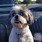 Profile Picture of Amanda (@amanda.raley) on Instagram