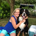 Profile Picture of Janet Petersen (@petersenj59) on Instagram