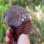 Robert Smith - Instagram Profile Picture of Robert Smith (@radostinsezarina) on Instagram