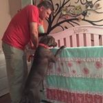 Profile Picture of Kevin Pettyjohn (@kevinpettyjohn) on Instagram