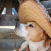 Profile Picture of Connor Carr (@connorcarr9910) on Youtube