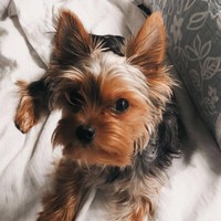 Profile Picture of Julia Bang (@julia-bang-1) on Quora