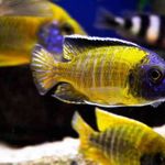 Craig Bushell - Instagram Profile Picture of Craig Bushell (@csbushell) on Instagram