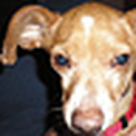 Profile Picture of Lizette Alvarez (@civilrights78) on Flickr