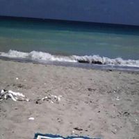 Simone Gordon - Quora Profile Picture of Simone Gordon (@simone-gordon-12) on Quora