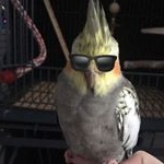 Robbie - Instagram Profile Picture of Robbie (@lilronbean) on Instagram