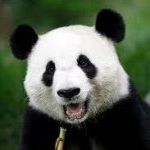 Hazel Kerrison-Male - Instagram Profile Picture of Hazel Kerrison-Male (@hazelwithasmileyface) on Instagram