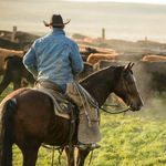 Profile Picture of Glenn Gray (@g.gray.3) on Instagram