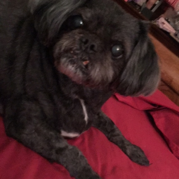 Profile Picture of Jayne Resnick (@jaynelen) on Poshmark