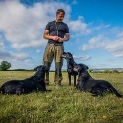 Profile Picture of John_Denyer (@john_denyer) on Tiktok