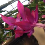 Profile Picture of whitney_schneider_cline (@whitney_schneider_cline) on Instagram