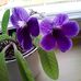 Profile Picture of Nancy Lorenz (@nancy.lorenz.3762) on Facebook