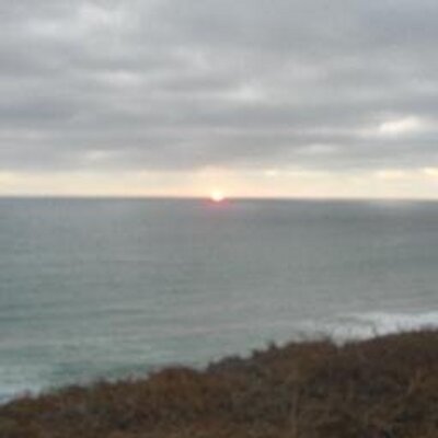 Profile Picture of Kim Sipeson Twitter