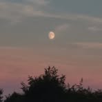 Profile Picture of Joshua Dark (@Joshua-Dark) on Facebook