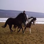 Profile Picture of Lucy Childress Malloy (@racetrackponies) on Instagram