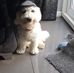 Profile Picture of Kevin Unsworth (@kevin.unsworth.9461) on Facebook
