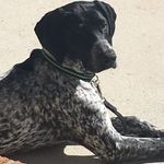 Profile Picture of Mark Sobiech (@marksobiech) on Instagram