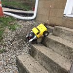 Profile Picture of Aden Paul Garbutt (@garbuttadenpaul) on Instagram