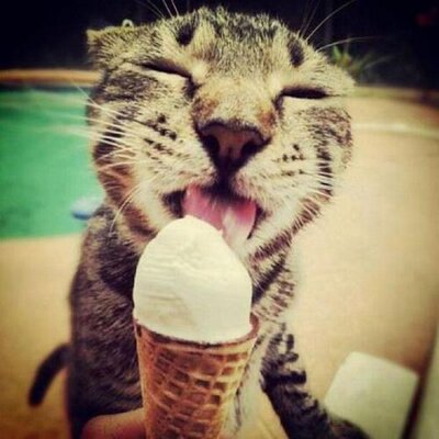 Profile Picture of Nate Troxell (@NateTroxell) on Twitter