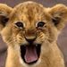 Profile Picture of Avery Sardoff (@asardoff) on Pinterest