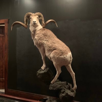 Profile Picture of Nikolas Simpson (@simpson_nikolas) on Twitter