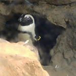 Profile Picture of Ted  Hsu (@a080056785678) on Instagram