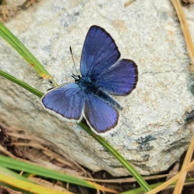 Profile Picture of Yiming Yang (@YimingYang12) on Twitter