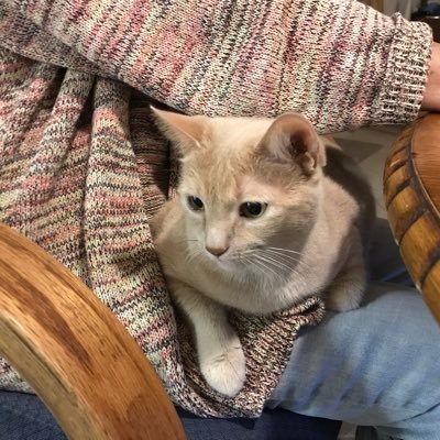 Profile Picture of Pat Luft (@PatLuft2) on Twitter