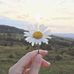 Profile Picture of Lilly Patch (@lilly.patch.735) on Facebook