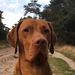 Profile Picture of Lucas C Visser (@visserclucas) on Pinterest
