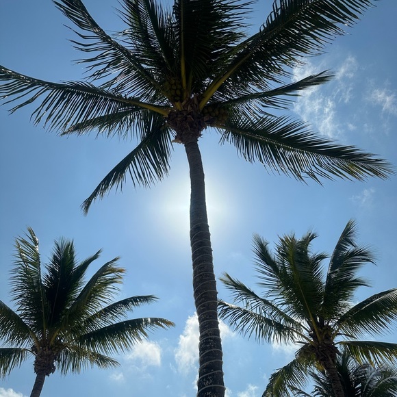 Profile Picture of Eloisa Estrada (@eloisaestrada) on Poshmark