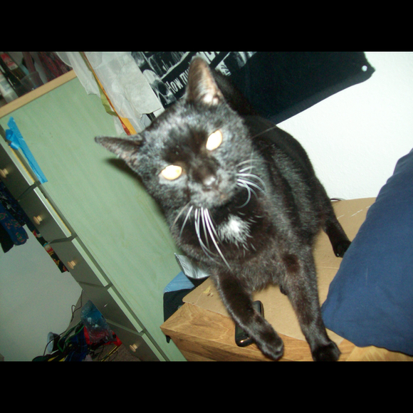 Miranda Cassidy - Poshmark Profile Picture of Miranda Cassidy (@mirandacassidy) on Poshmark