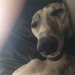 Profile Picture of Kathryn Geddis-Marks (@kathryn_geddis) on Instagram