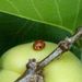 Profile Picture of Jeffery Haws (@hawsj1) on Pinterest