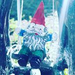 Profile Picture of Trent Cook (@tcook480) on Instagram
