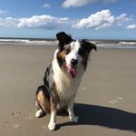 Profile Picture of Pascal.Egberink.2106 (@pascal.egberink.2106) on Instagram