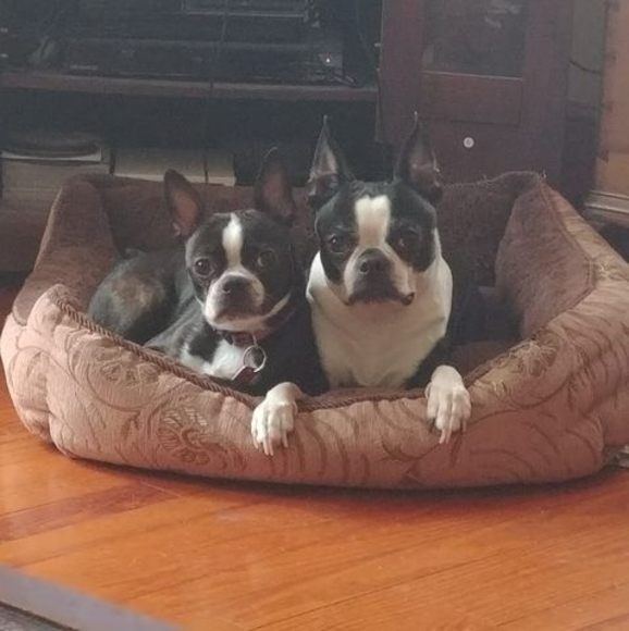 Profile Picture of Wade Warren (@wvwllw306) on Poshmark