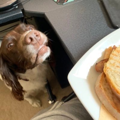 Profile Picture of Chris Bostock (@chris_vandal) on Twitter