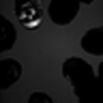 Profile Picture of Alex V.M. (@Alex V.M.) on Flickr