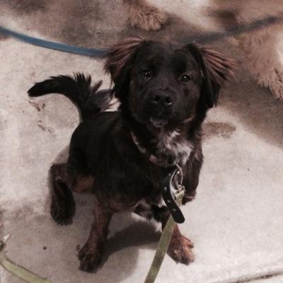 Mike Trusty - Twitter Profile Picture of Mike Trusty (@TrustyMike) on Twitter