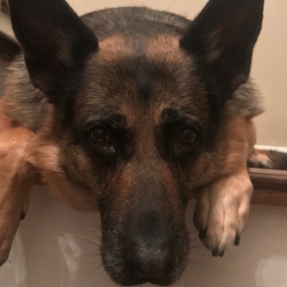 Profile Picture of Randy Lalsie-wildman (@randy2705) on Poshmark